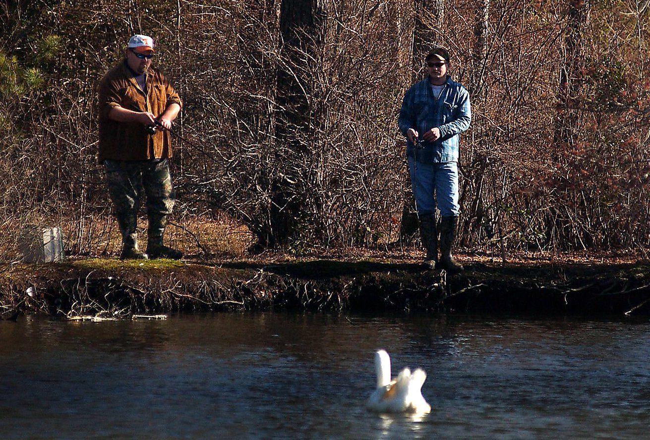 Trout season 2005